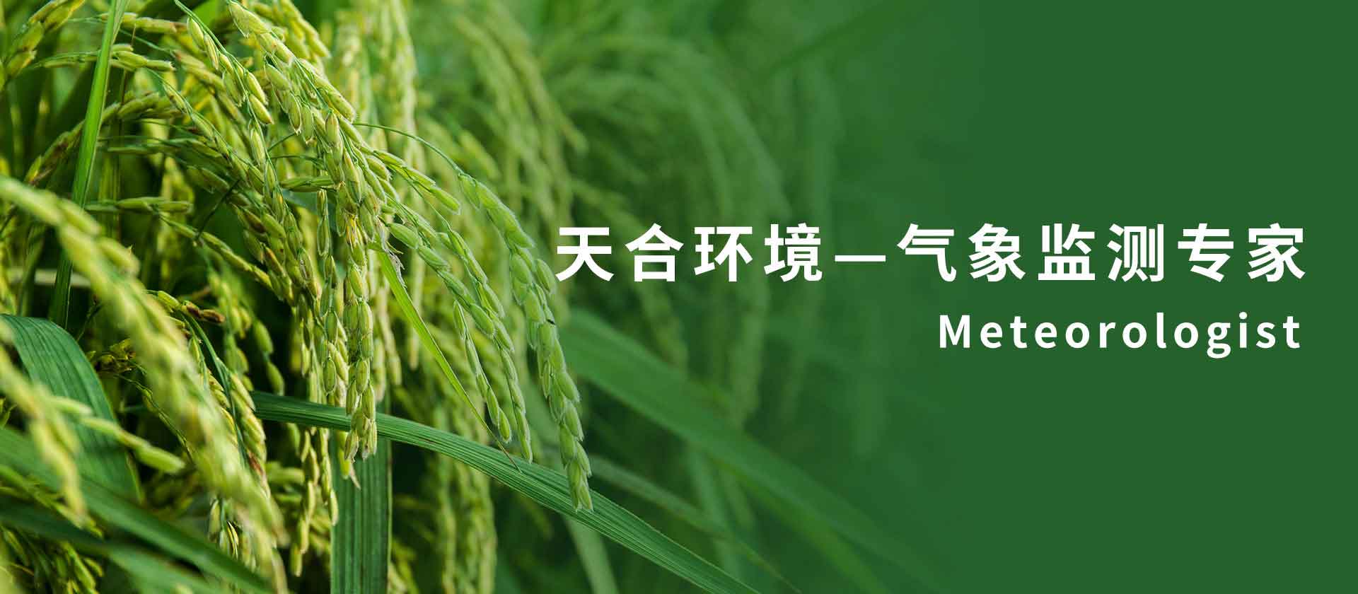 農(nóng)業(yè)氣象站-山東天合環(huán)境科技